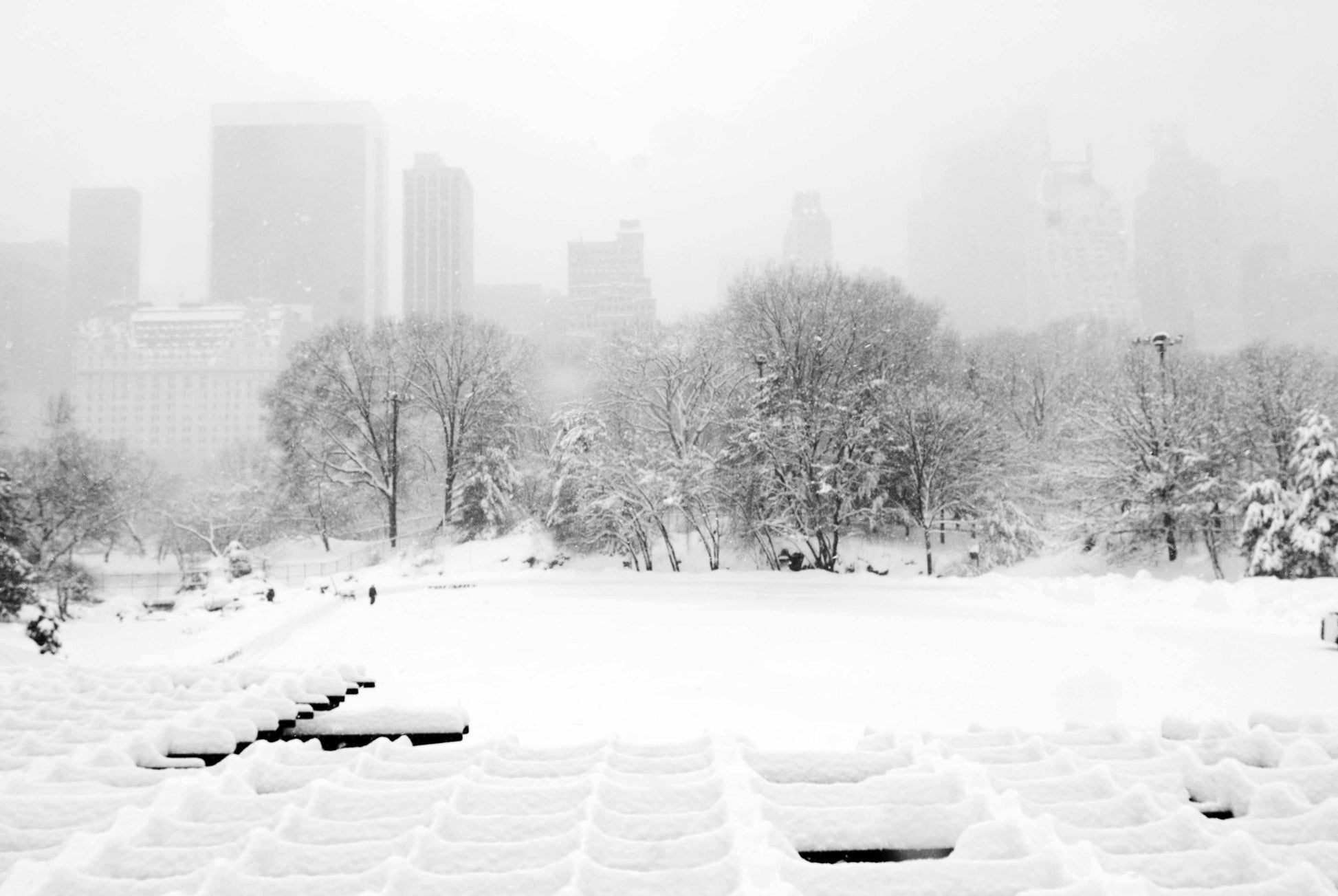 Alessandra Mattanza | INFINITY, Central Park, New York. Winters gloom envelopes a snowy Central Park. Available as an art print or photographic print on acrylic glass.