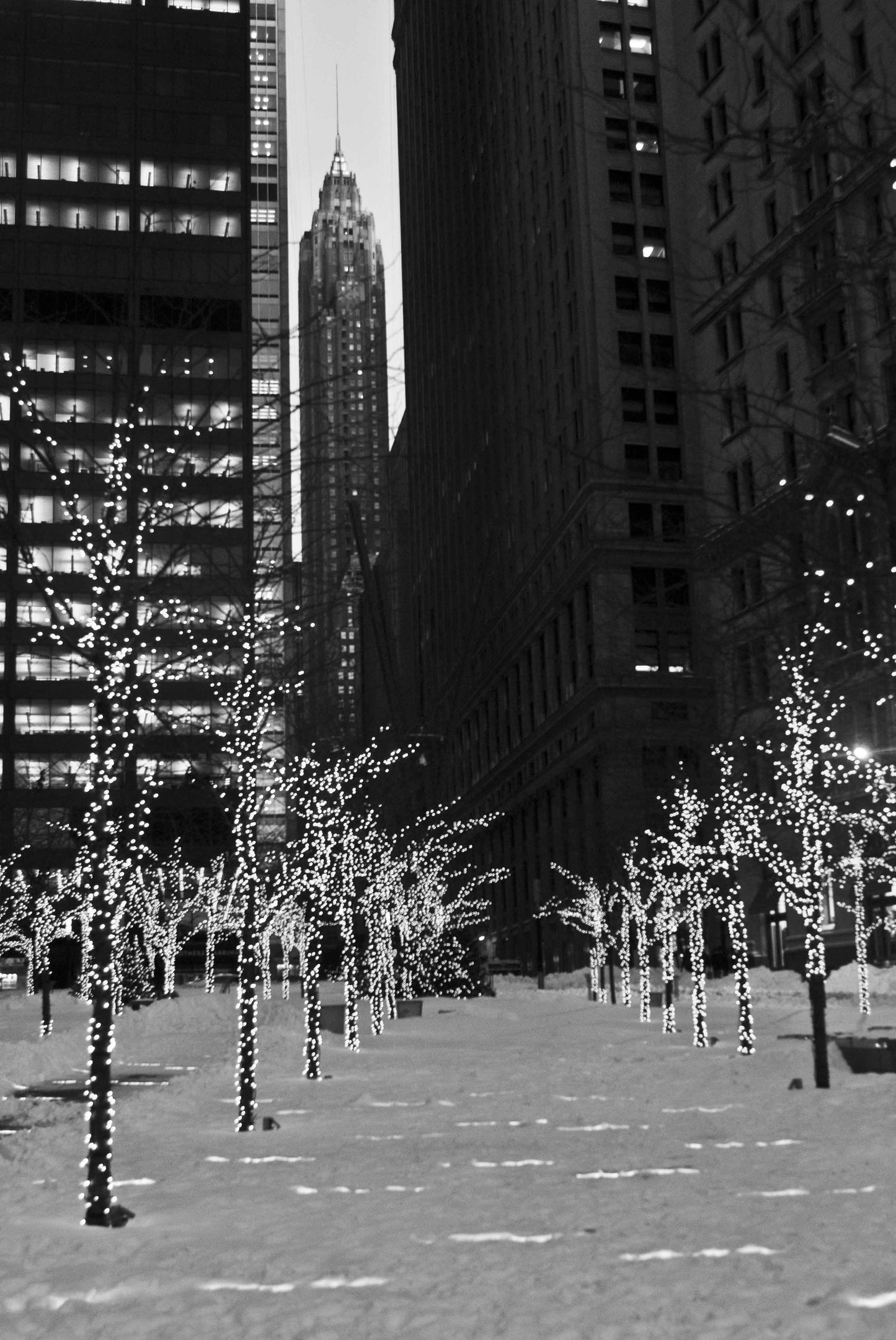 Alessandra Mattanza | LIGHTS, Financial District, New York. Decorations light the way in New Yorks financial district. Available as an art print or photographic print on acrylic glass.