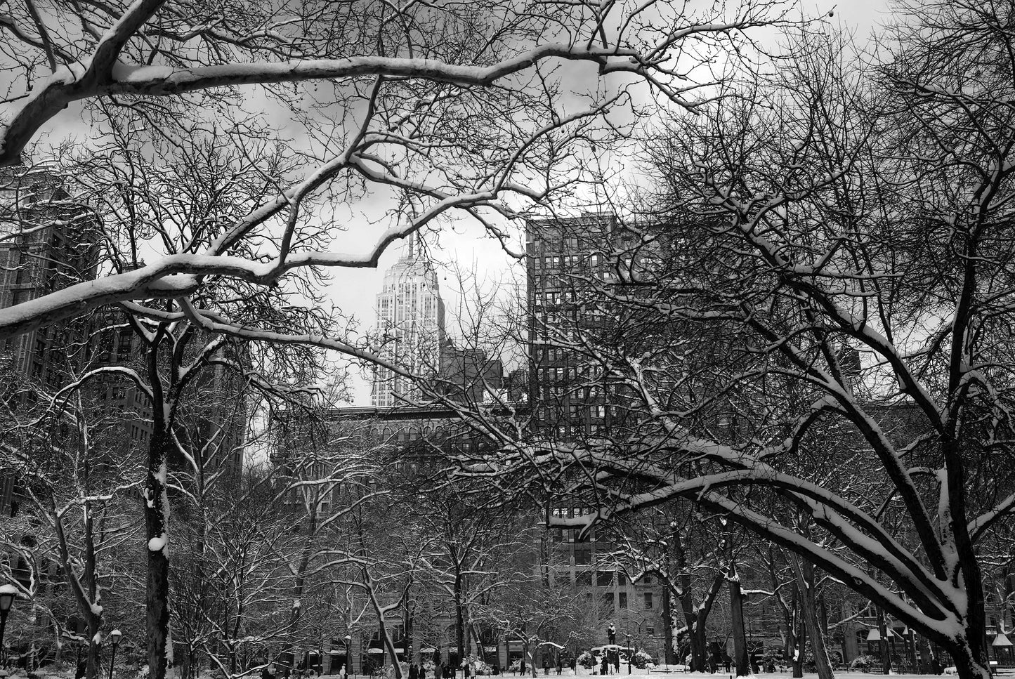 Alessandra Mattanza | DIFFERENCES, New York. The Empire State Building stands in the distance in this winter view from Bryant Park. Available as a photographic print on acrylic glass.