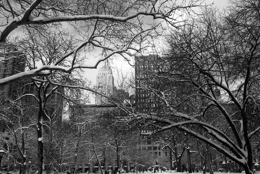 Alessandra Mattanza | DIFFERENCES, New York. The Empire State Building stands in the distance in this winter view from Bryant Park. Available as a photographic print on acrylic glass.