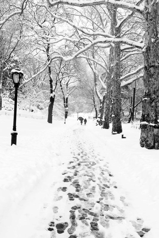 WALKING ON THE FOOT PRINTS OF SNOW, Central Park, New York