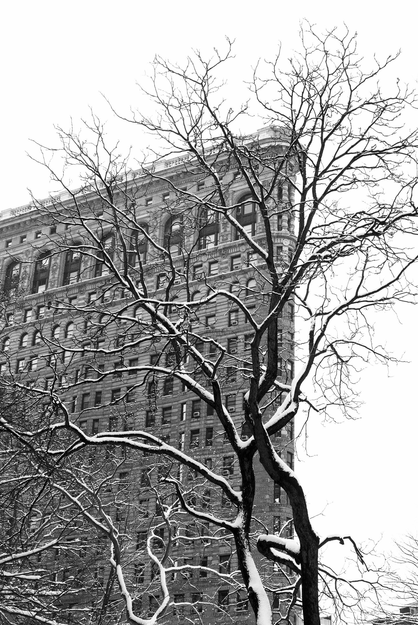 New Yorks iconic Flatiron Building photographed from a wintery Madison Square Park. 