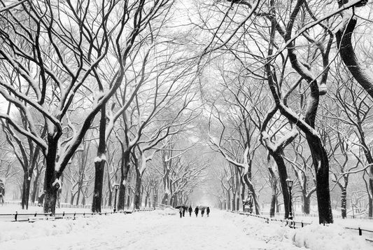 Alessandra Mattanza | INFINITY OF A WAY, Central Park, New York. Central Park in the grip of a New York winter. Available as a photographic print on acrylic glass.