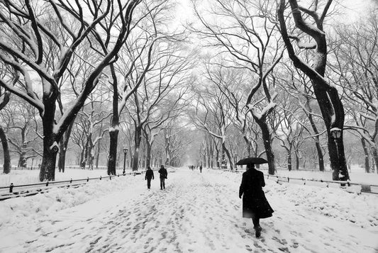 Alessandra Mattanza | DARING, Central Park, New York. New Yorkers brave the winter weather as they walk through Central Park. Available as a photographic print on acrylic glass.