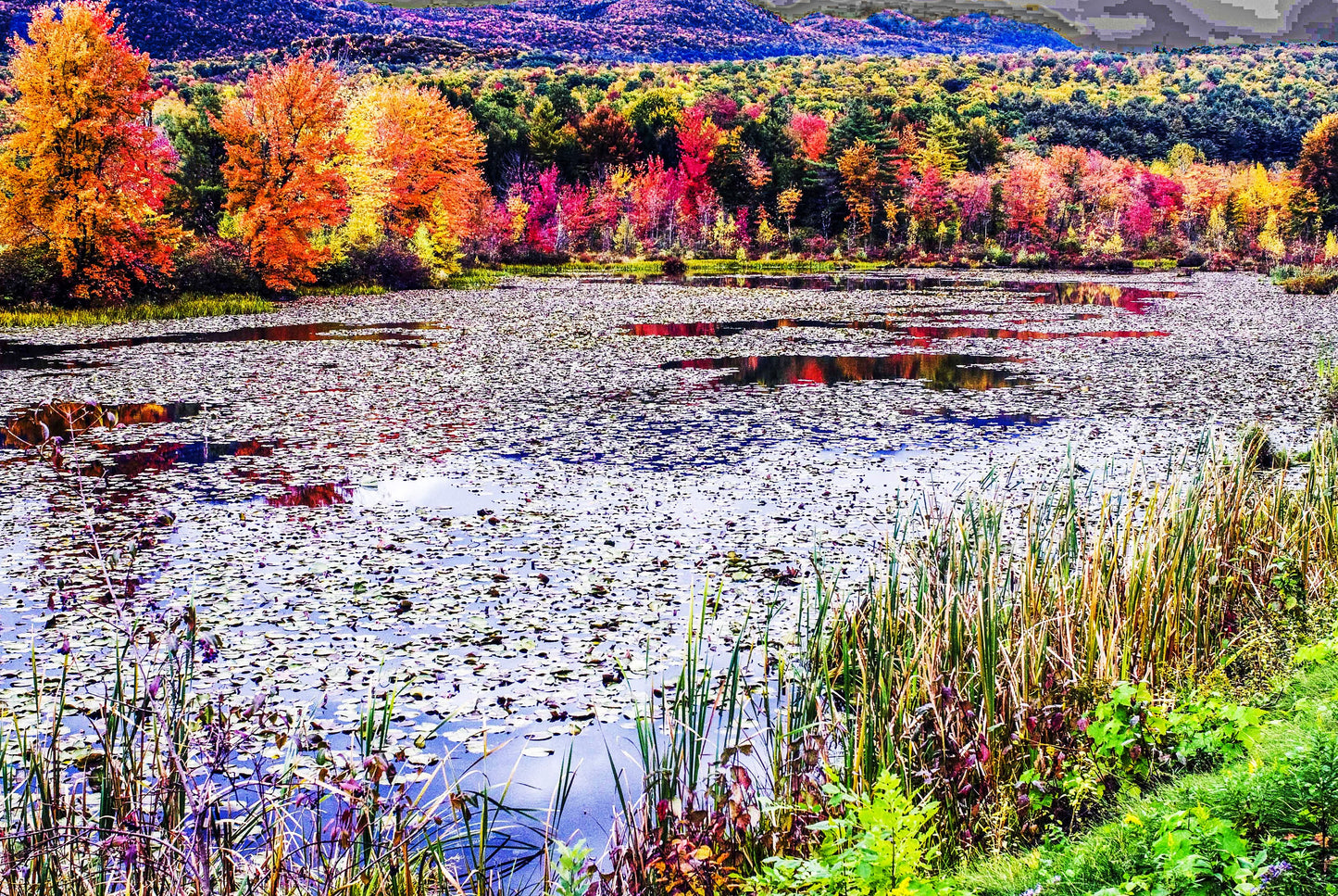 THE MAJESTY OF FALL, New Hampshire, USA