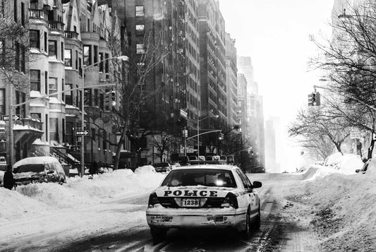The snows of winter in New York are captured in this evocative image