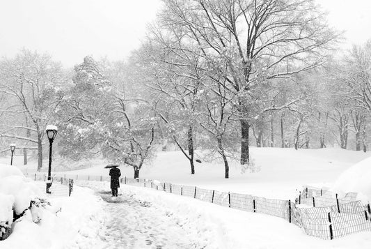 Alessandra Mattanza | BY HIMSELF, Central Park, New York. A lone figure braves the winter weather in New Yorks Central Park. Available as a photographic print on acrylic glass.