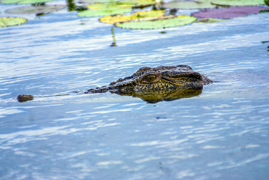 THE GLIMPSE, Kakadu National Park, Australia