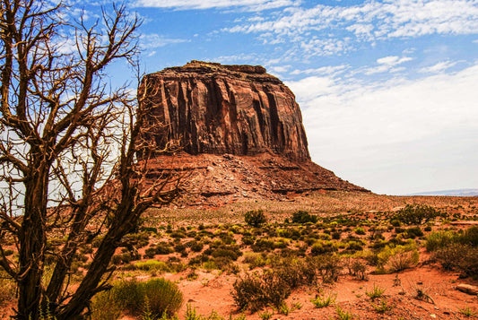 THE ANCESTOR, Ariziona-Utah