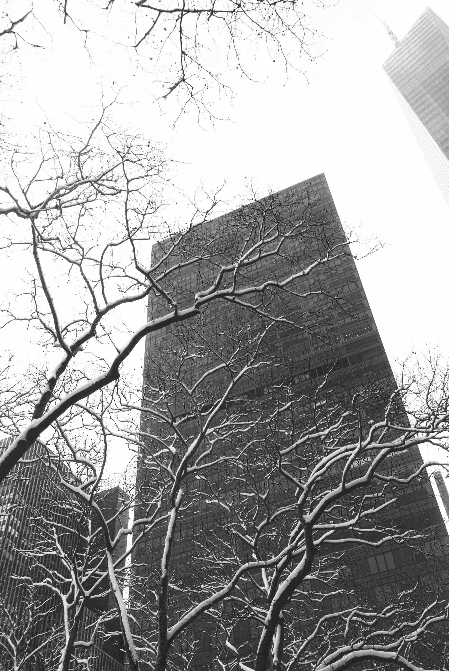 Alessandra Mattanza | ENCOUNTER OF BLACK AND WHITE, Bryant Park, New York. The imposing tower at Thre Bryant Park contrasts with bare, snow-covered branches in the park. Available as an art print or as a photographic print on acrylic glass.