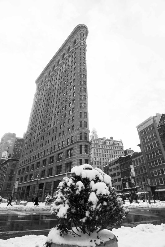 Alessandra Mattanza | LIFE, New York. The iconic Flatiron Building from Madison Square Park. Available as an art print or a photographic print on acrylic glass.