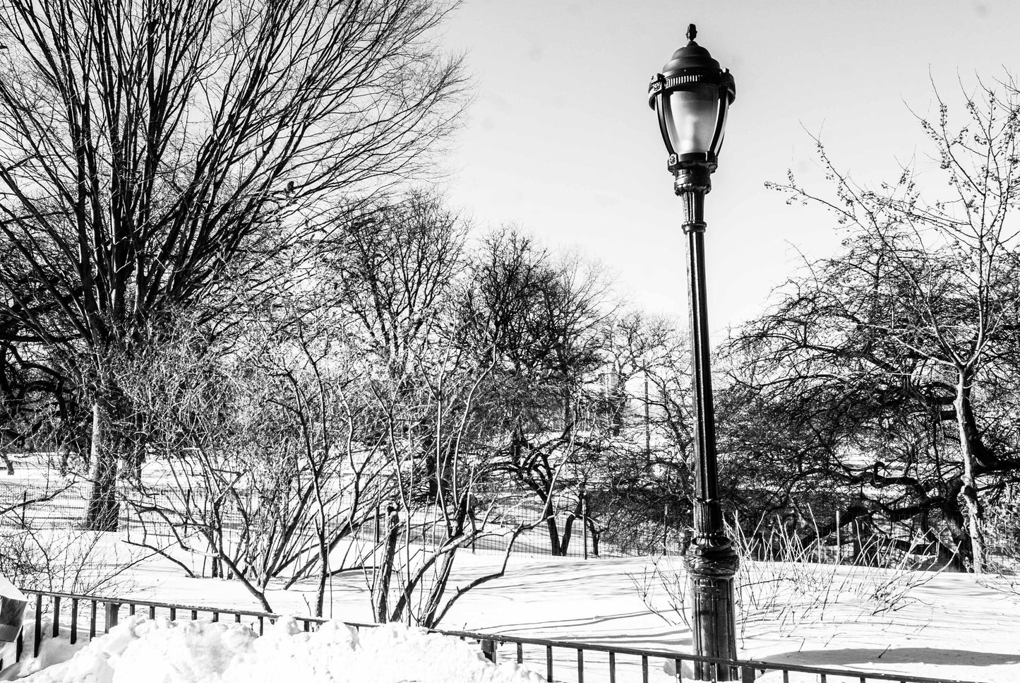 POSITION, Central Park, New York