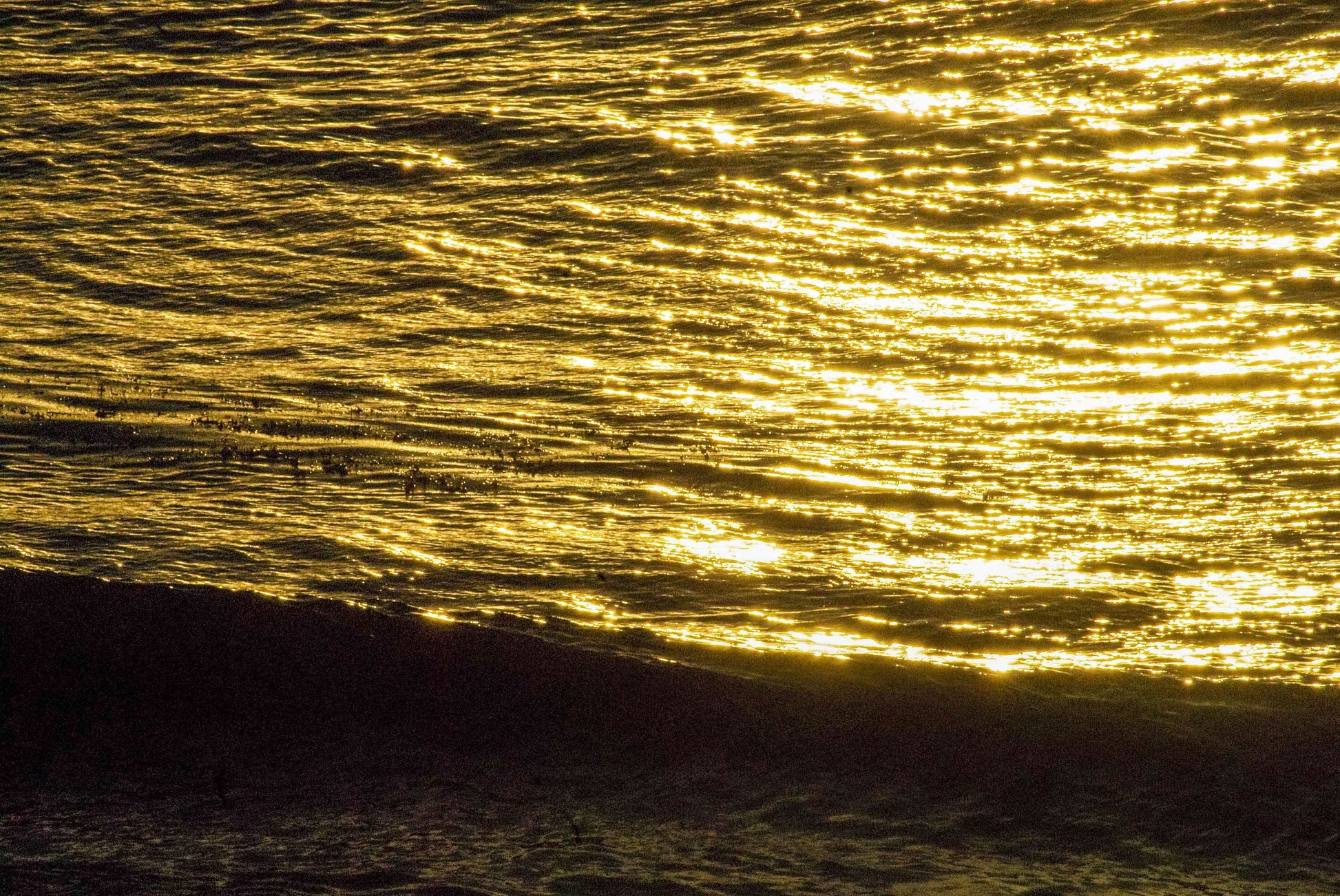Alessandra Mattanza | GOLDEN HOUR, California, USA. Golden sunlight reflects from the ocean. Available as an art print or as a photographic print on acrylic glass.