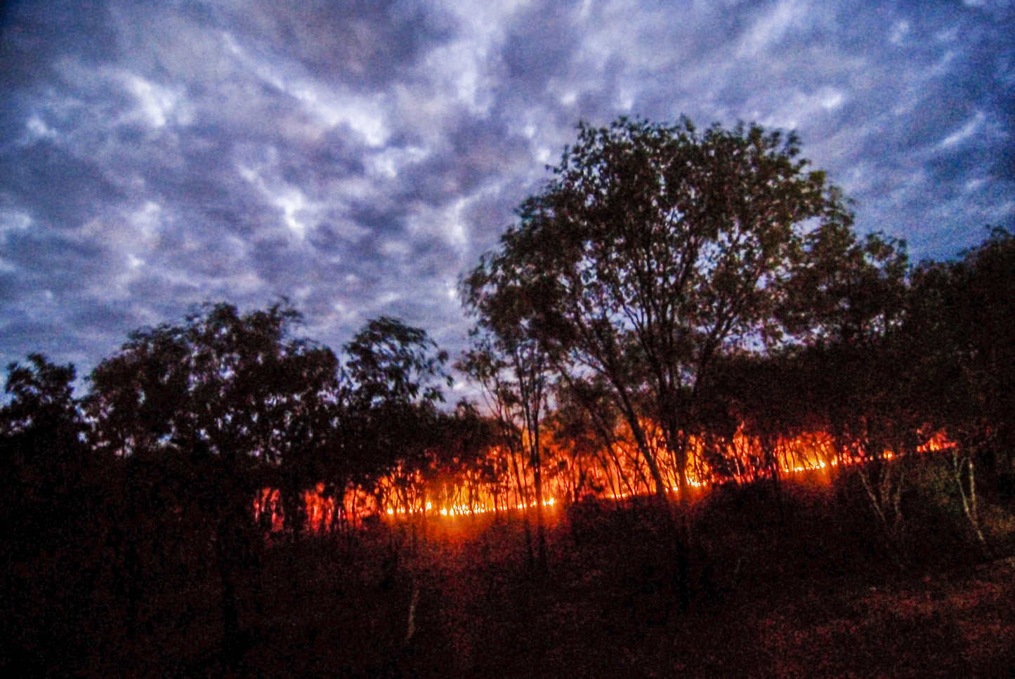 Alessandra Available | INFERNO, Australia. A bush fire burns in the  Kadadu National Park. Available as an art print or photographic print on acrylic glass.