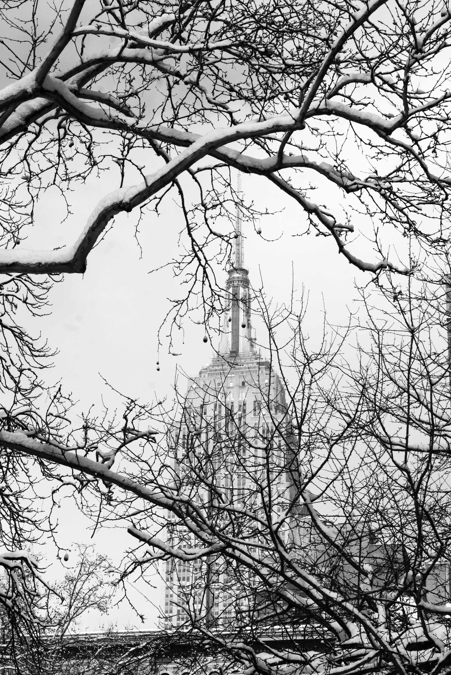 Alessandra Mattanza | ANOTHER VISION, New York. The Empire State Building stands tall on a winters day. Available as an art print or as a photographic print on acrylic glass.